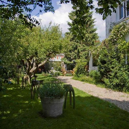 Achter Het Witte Huis Utrecht Bagian luar foto